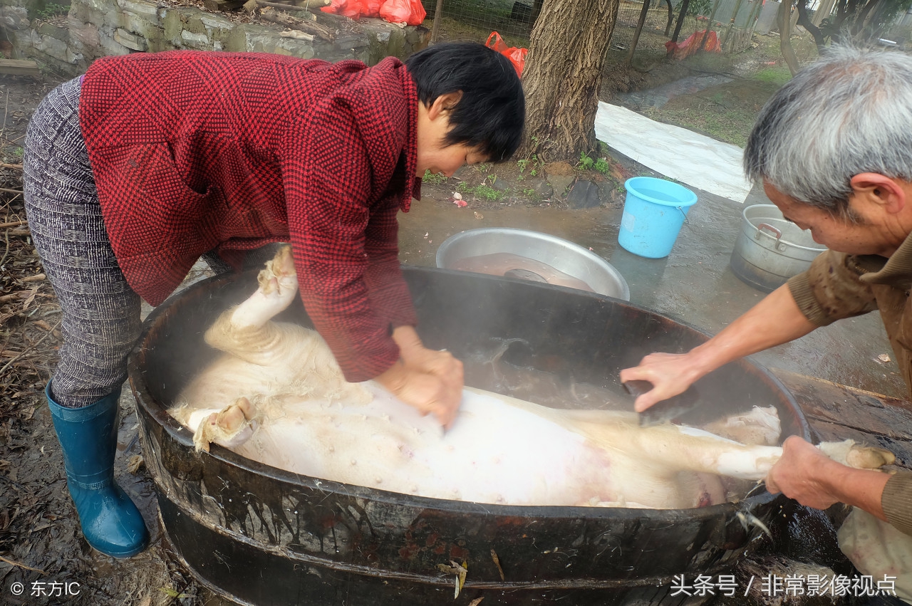 女杀猪匠穿雨鞋杀猪图片