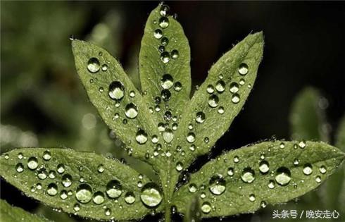 人生建议的经典句子简单 一生的忠告经典语录图片