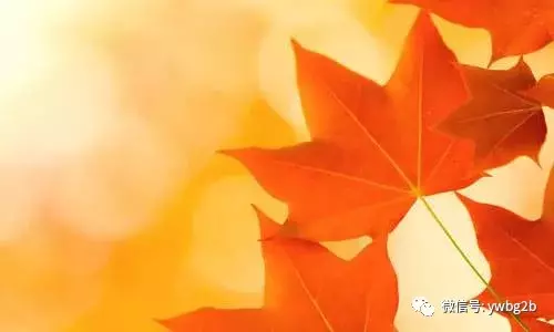欣赏关于秋的古诗名句-第2张图片-诗句网