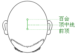 「中医适宜技术」第一篇 针刺技术｜第2章头针技术