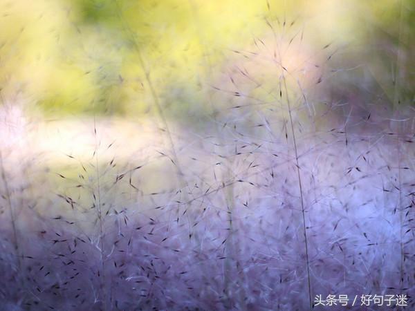 努力改变自己的句子：人不一定要生得漂亮 但却一定要活得漂亮图片
