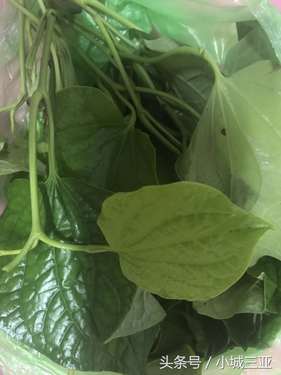 捞叶是什么植物（分享海南特色美食制作步骤）