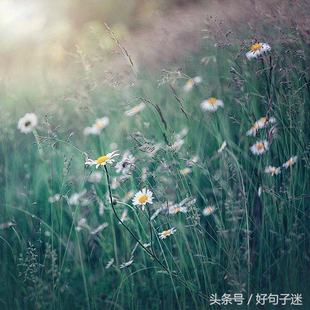朋友圈温暖人心的唯美句子，让人一看就喜欢 打动人心的唯美短句图片