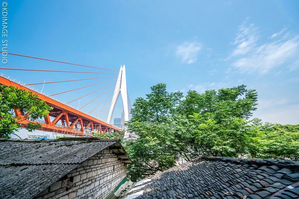 除了穿楼轻轨和洪崖洞，重庆这10个旅游网红打卡地千万别错过