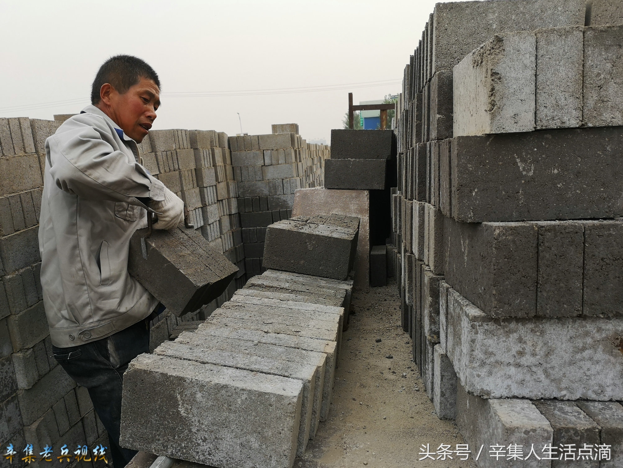辛集市西窯磚廠小四輪拖拉機(jī)、個(gè)體運(yùn)輸者 辛集老兵視線