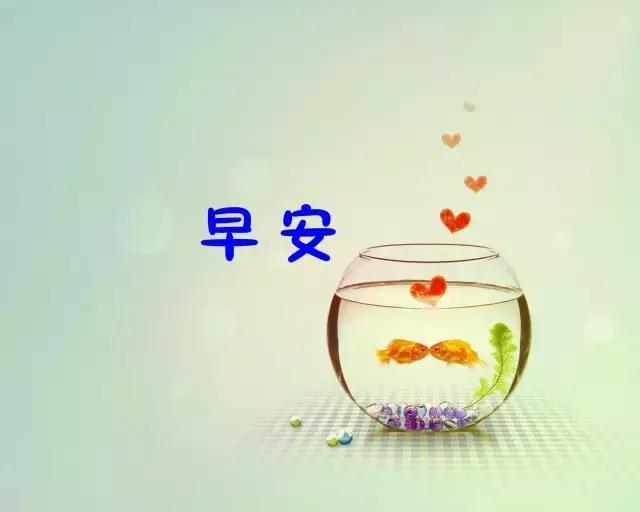 有冲劲的正能量句子 激励人勇往直前的句子图片
