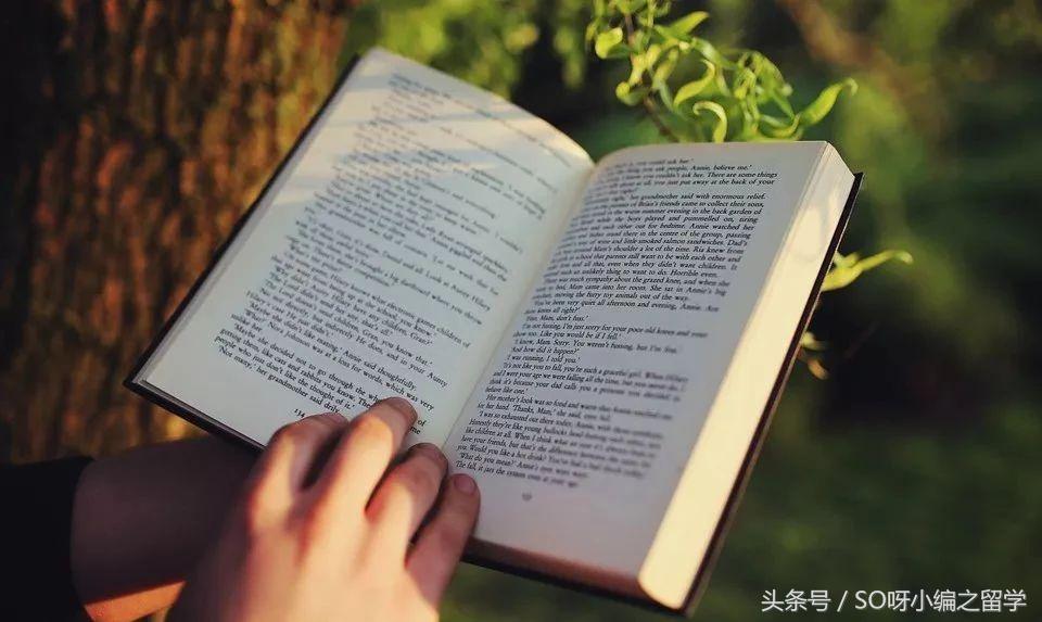 有关澳洲留学的申请，你也曾有这些疑问吗？