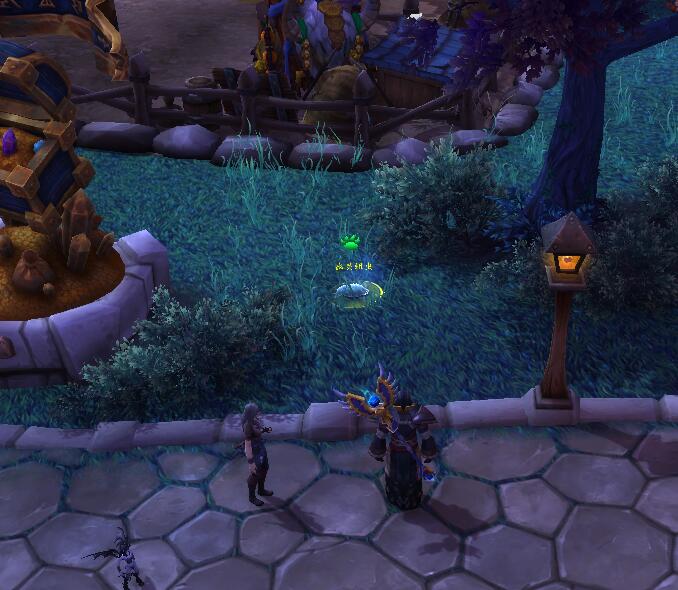 魔兽世界：万圣节幽灵要塞装扮 幽灵小蜘蛛和幽灵老鼠宠物