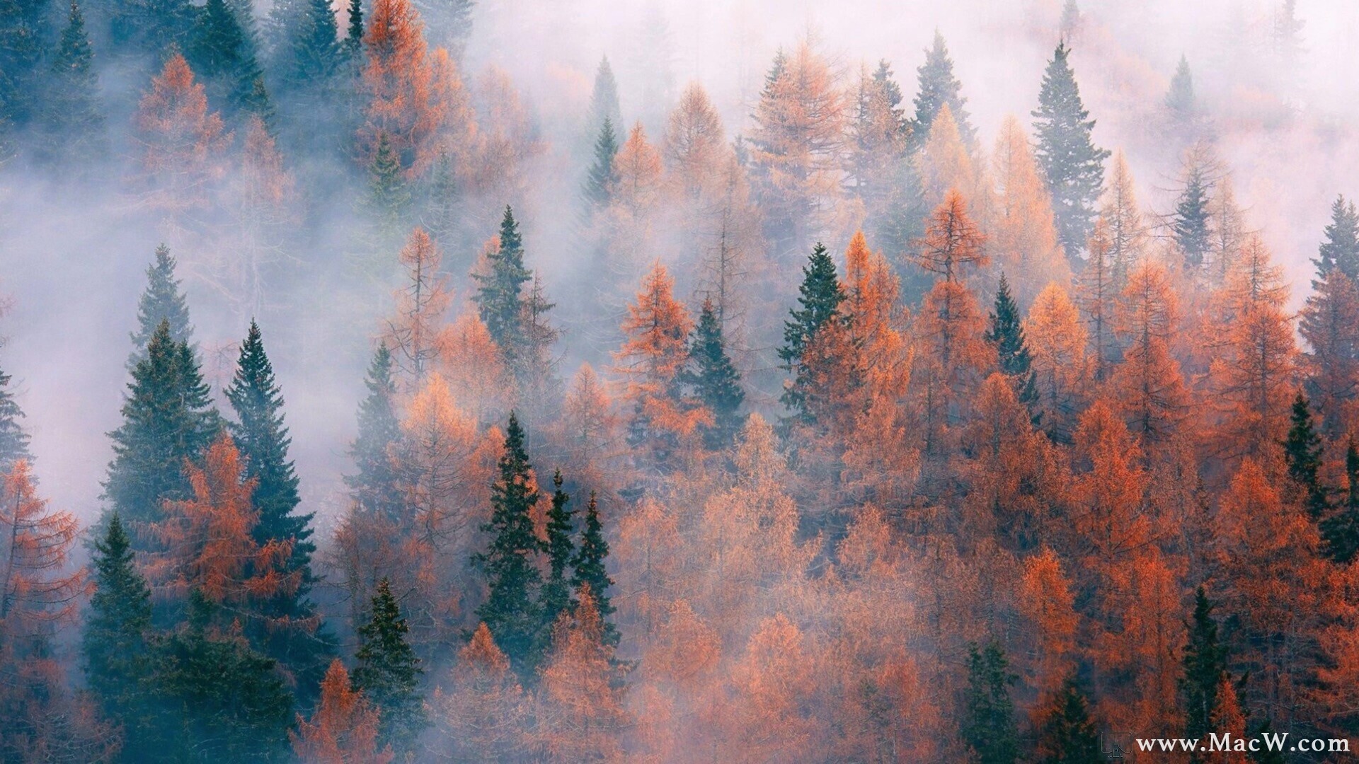 在 Mac 上使用 BlueStacks模拟安卓