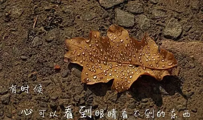 最适合发朋友圈人生感悟的经典语录 句句感悟至深