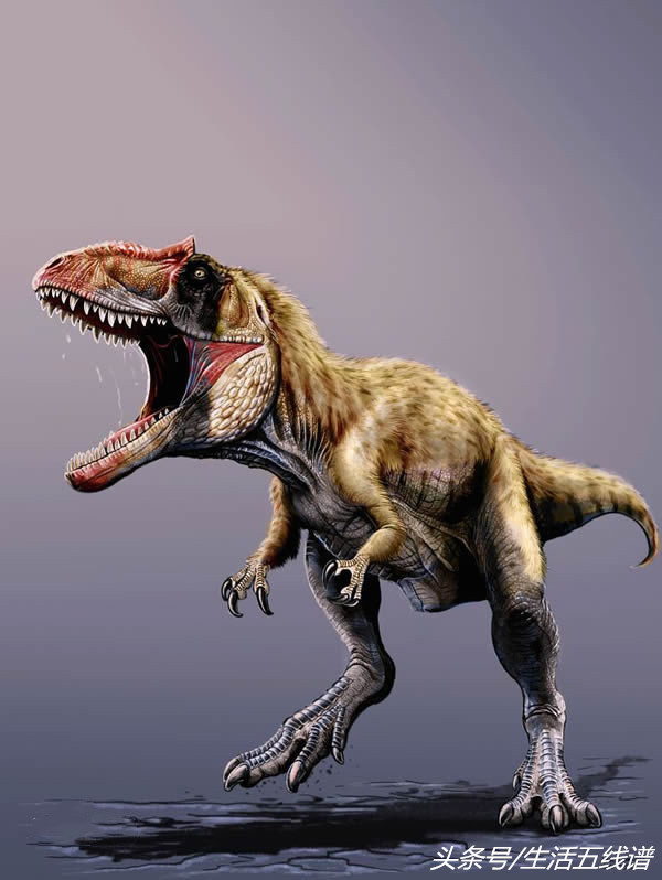 能杀死霸王龙的恐龙是什么恐龙(盘点十大最凶猛的恐龙)