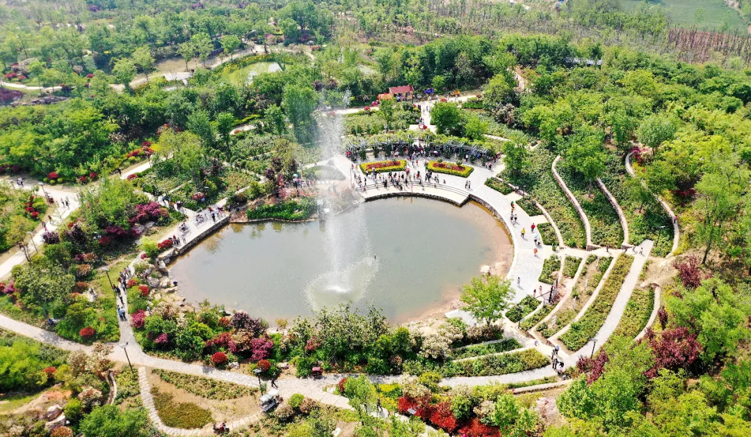 沭陽(yáng)：讓花鄉(xiāng)美起來，成為美麗江蘇的美麗公園