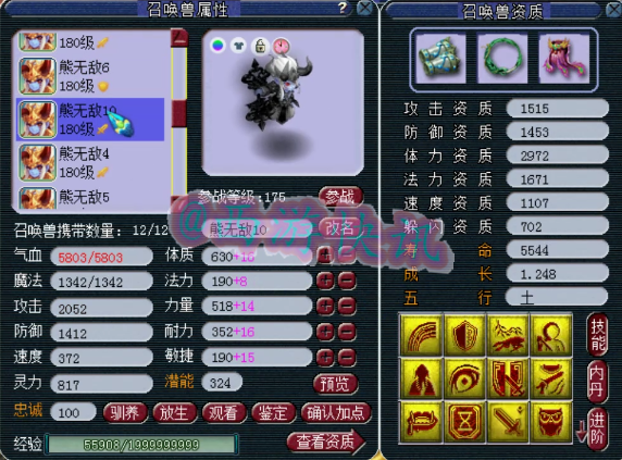 梦幻西游：服战顶级辅助，千万神豪熊无敌化生寺硬件展示