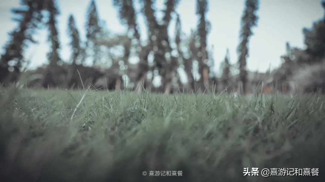 去了八次廈門之后，告訴你這30件事最值得