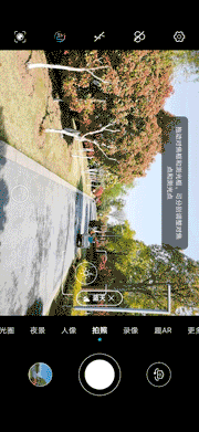 当完全不会拍照的媳妇儿上手测试荣耀30 Pro，你