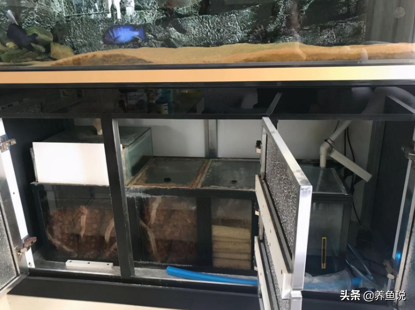 魚缸過濾系統改造升級 核心底層邏輯揭祕 各類過濾裝置都適用 養魚說 Mdeditor