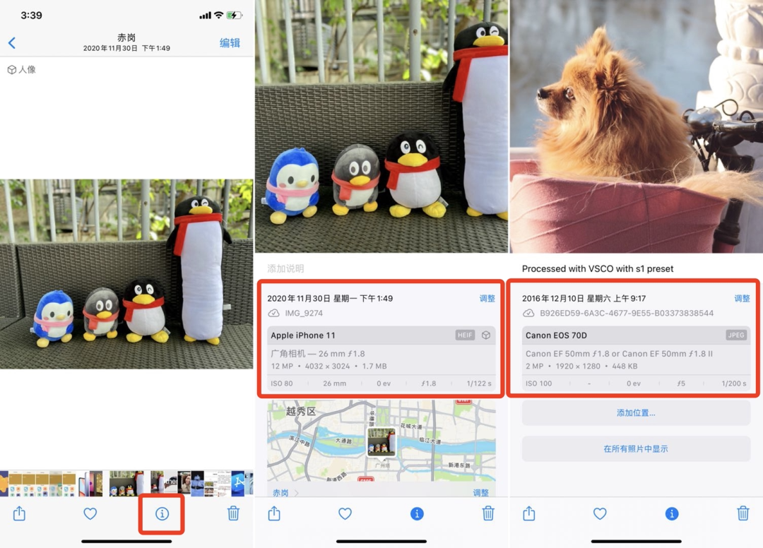 苹果 iOS 15 正式版上线！这几个实用功能告诉你值不值得升