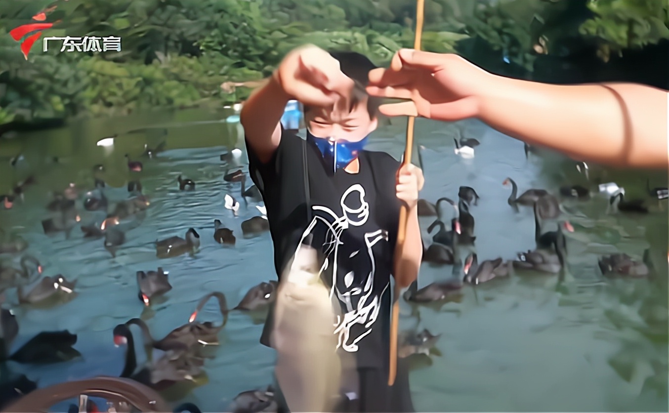 全红婵钓起9条鱼，打破园区纪录！何教练上电视：她该有个暑假