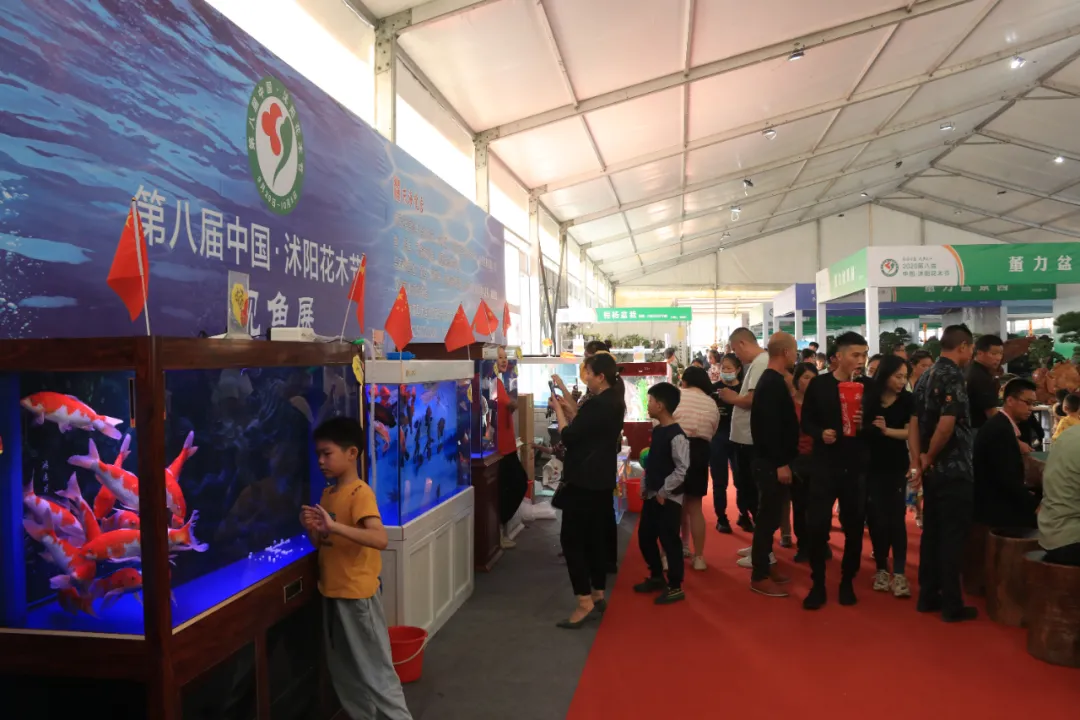 大饱眼福，第八届中国沭阳花木节竟如斯出色！你想看的全在这里…