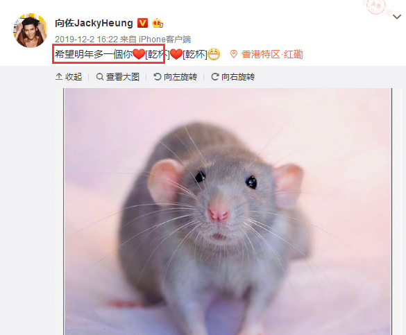 郭碧婷成功怀孕！老公向佐激动发文，新成员报