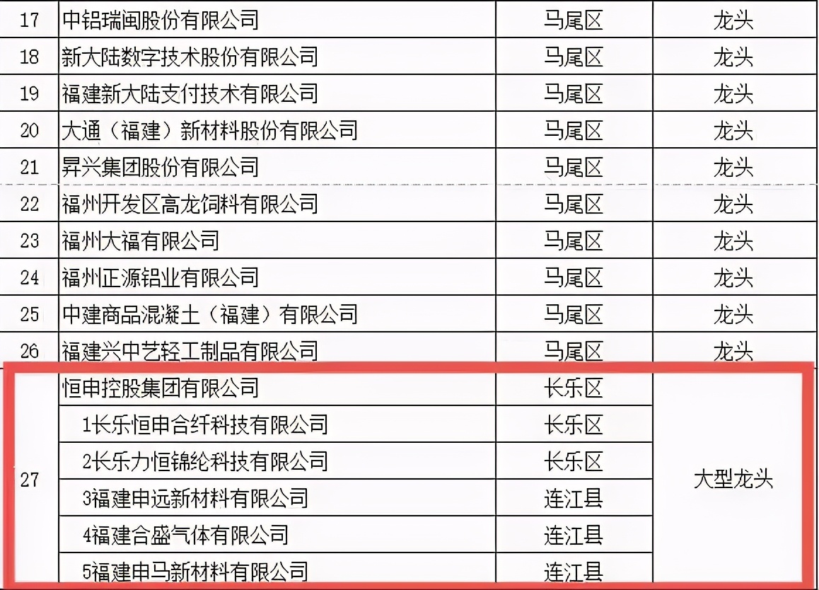 恒申集团获评福州市2021年工业“大型龙头”