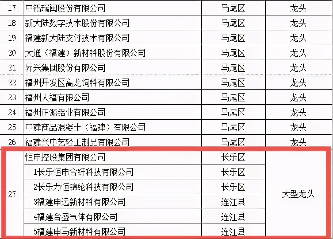 恒申集团获评福州市2021年工业“大型龙头”