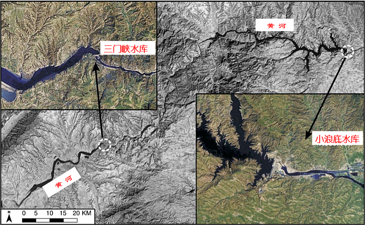 黃河的“重病”：調(diào)水調(diào)沙19年，中下游“流魚”成死局？