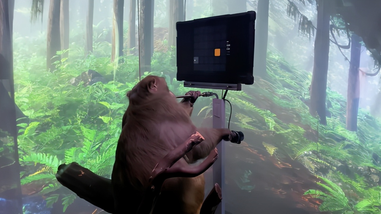 脑机接口重大突破，已经实现让猴子用意念玩游戏