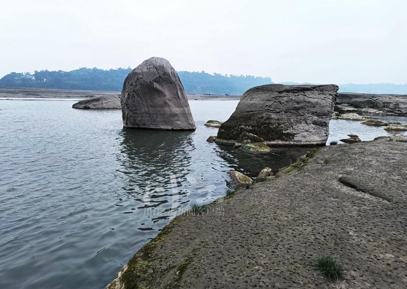 泸州春光好！踏春寻景，到弥陀中坝赏酒城江滩