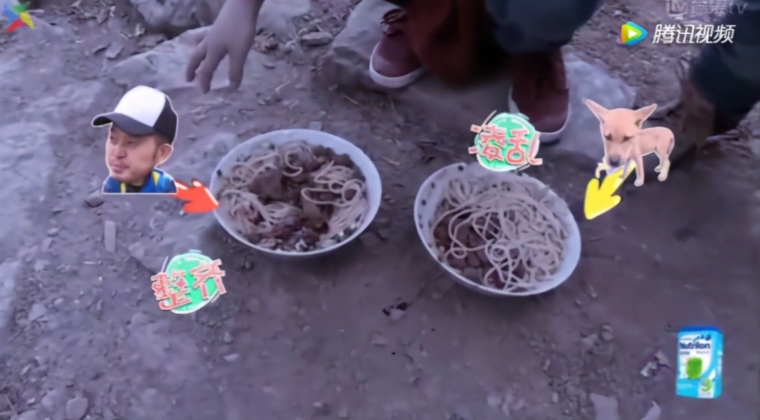 重溫《爸爸去哪兒》名場面，都是小機靈鬼啊