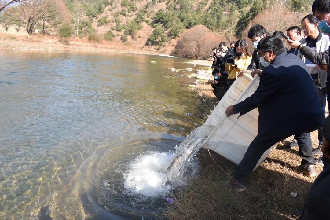 滇黔携手共护珠江生态环境 宣威市检察院参加马摆河流域生态保护警示教育暨增殖放流