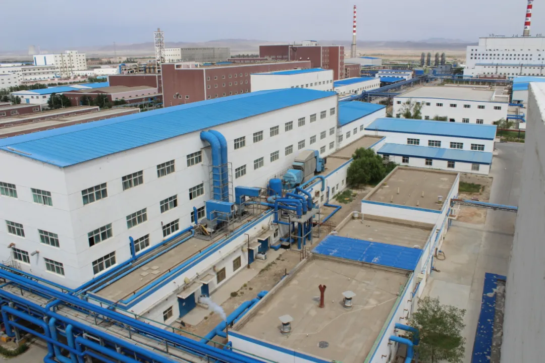 建党百年路 经纬新征程 |“党建+”模式夯基固本!中泰纺织集团有力推进高质量发展