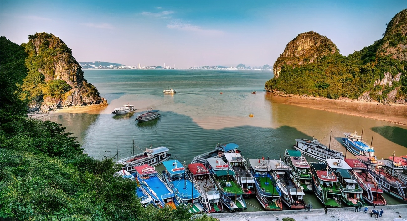 �������������˰��ɵ������˷���ơ�Խ��Ϊ���ܡ�������������