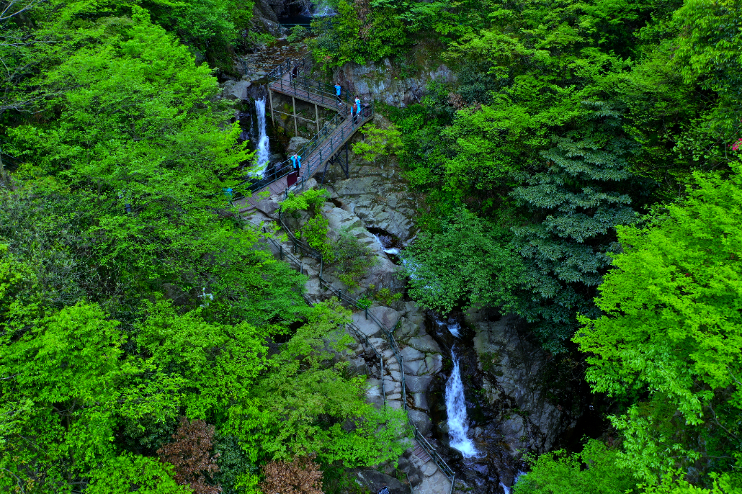 六一帶上自家“神獸”來龍津溪地尋找純真童年！山泉、瀑布、鳥鳴