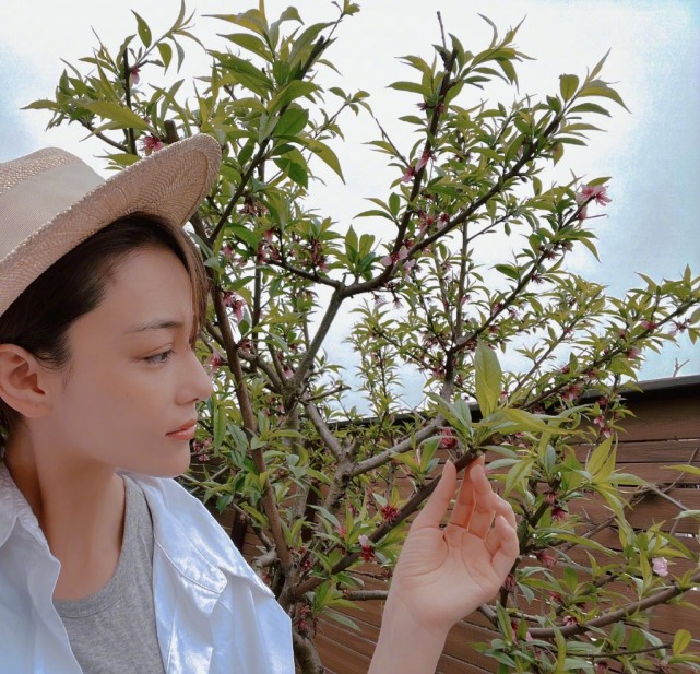 Zhang Xin grants farm big bumper harvest, bask in husband perspective beauty to illuminate, wearing air of the simple and bare-handed ground connection that pick food