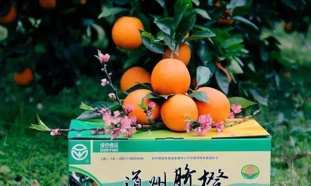 最好吃的橙子排名介绍，中国最甜的7大橙子产地排名？