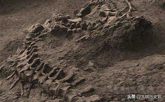 解读现代坠龙事件，真龙究竟是虚幻还是真有其事?