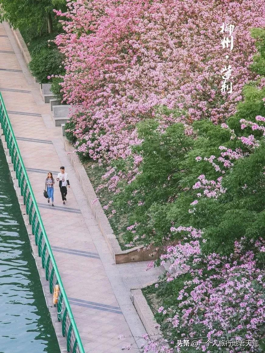 刚过完清明，这个省区又要放假了！全国人民都羡慕这里了
