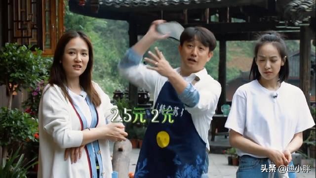 《向往》唯一一次在饭桌打码不是因为没赞助，原来是未成年不能看