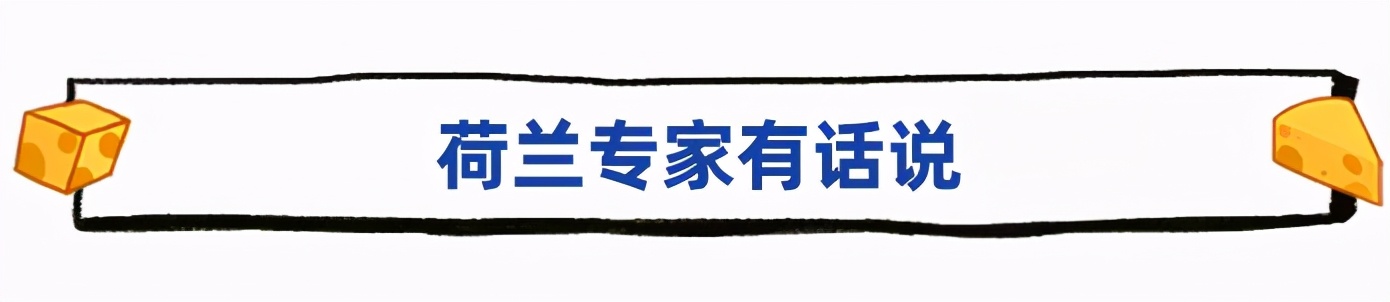 如果你头一回来荷兰，在街上走路会有点紧张