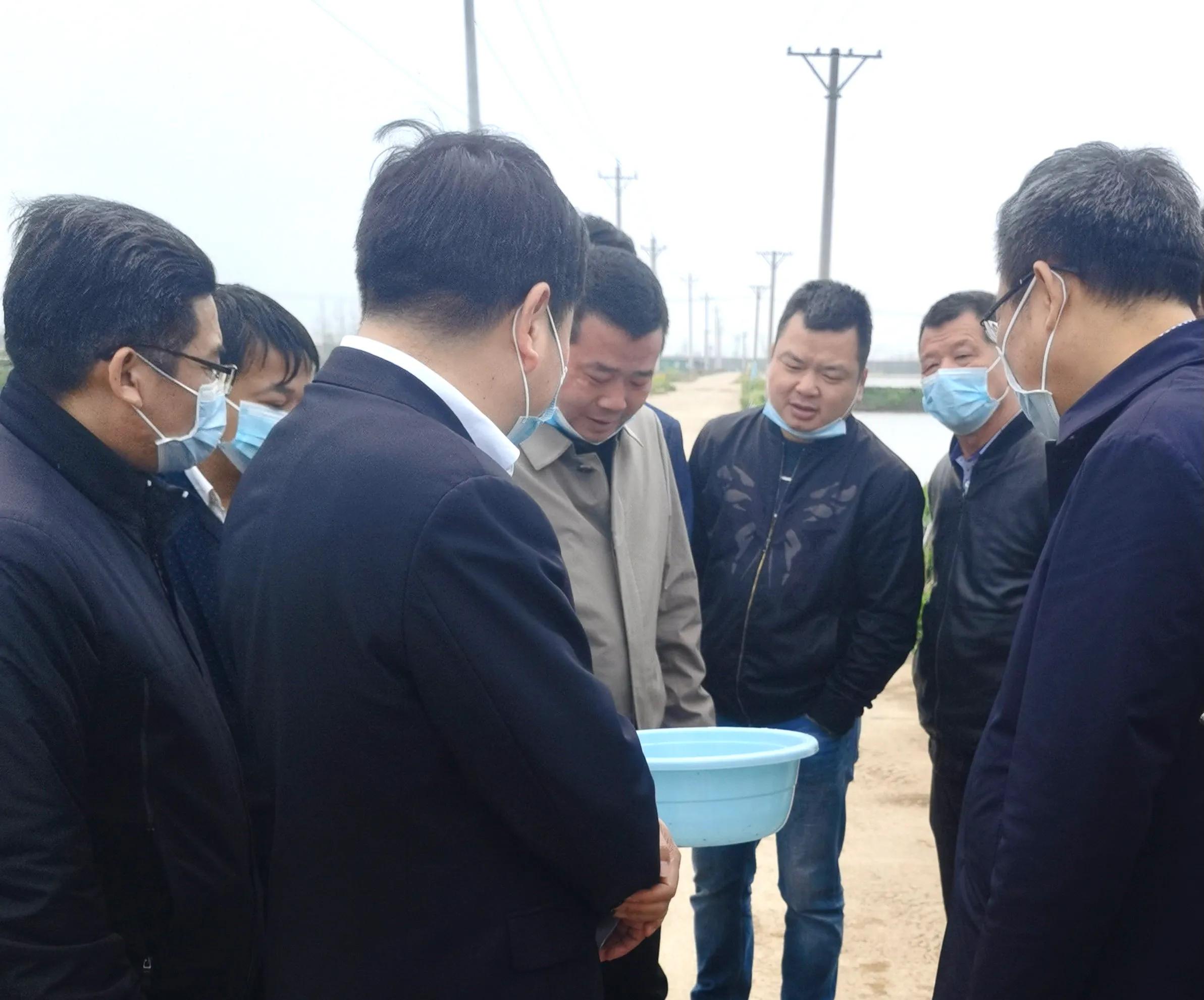 武汉知音故里（蔡甸)着力打造生态水产品金字招牌“品原生”