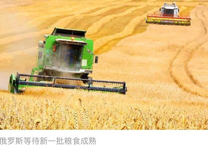 俄罗斯经济没被病毒击垮，率先陷入粮食危机？