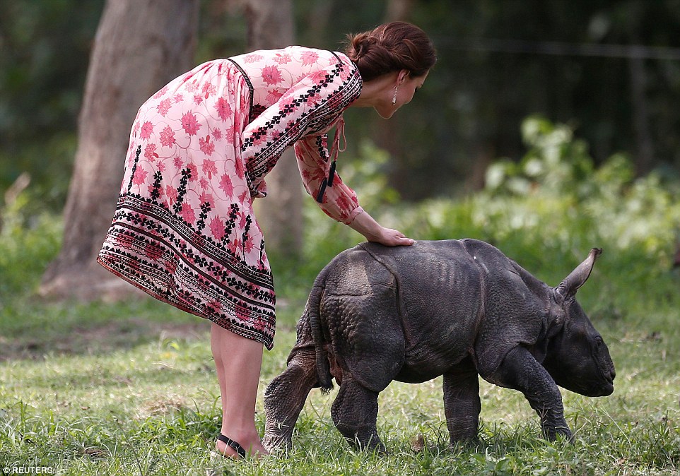 敬业的凯特工作中有趣、感人、甚至尴尬的瞬间