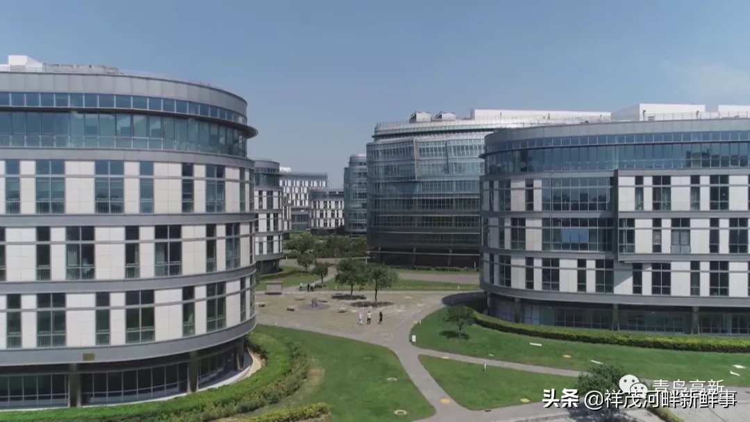 青岛高新区：医疗医药产业高地强势崛起