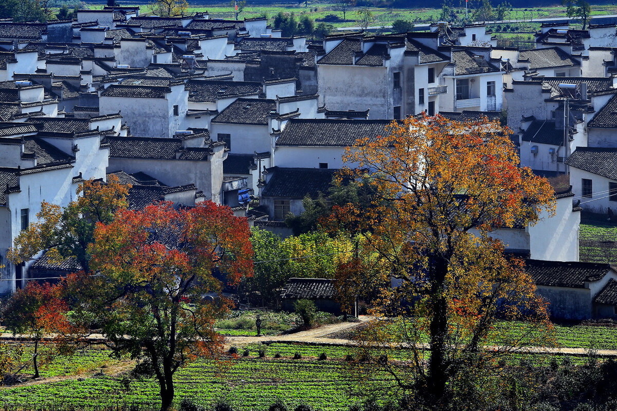 Anhui in autumn, one night into autumn, Huizhou became beautiful