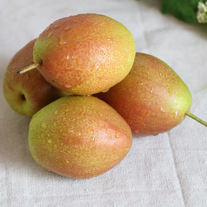 秋天瓜果香，这7种水果多给孩子吃，应季水分大还润燥，减少生病