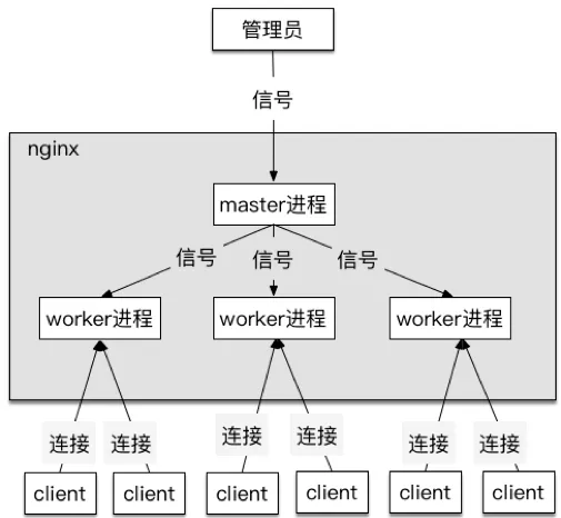 当初我要是这么学习Nginx就好了！（多图详解）