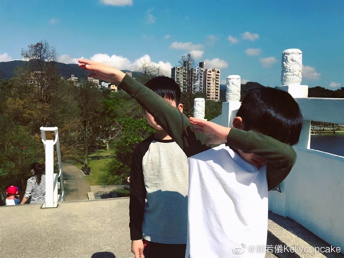 林志穎老婆帶雙胞胎兒子野餐，兄弟倆一黑一白，性格長相差異明顯