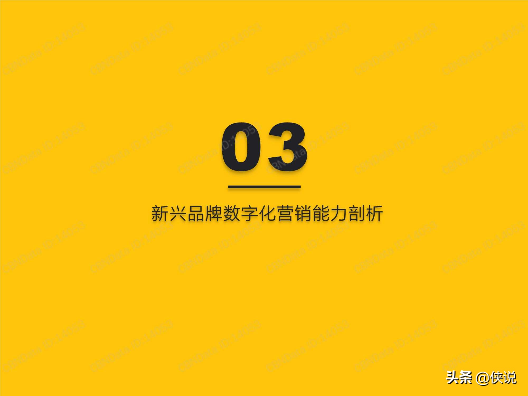 食品饮料行业新兴品牌数字化营销洞察报告（QuestMobile）