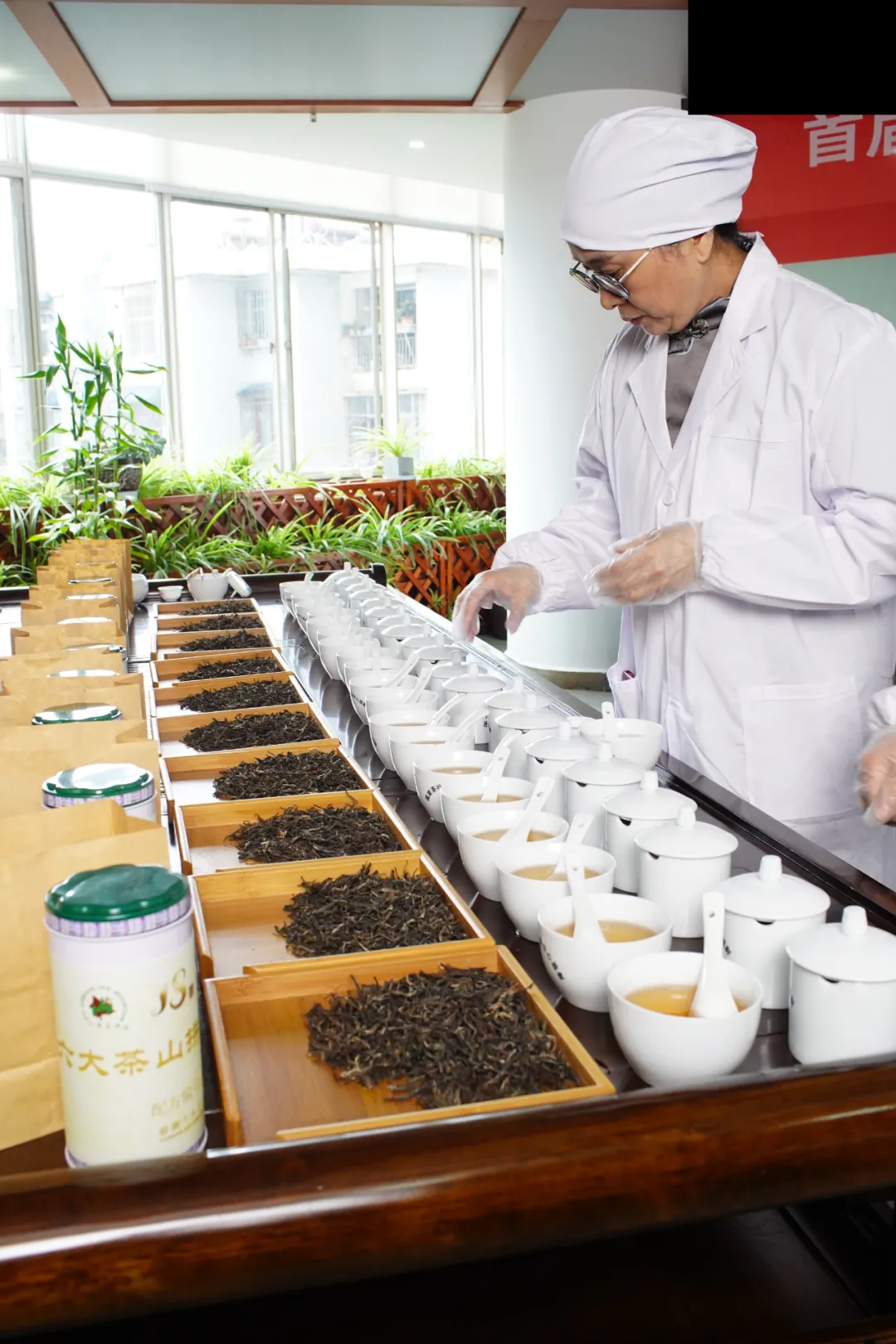 喜报!六大茶山董事长阮殿蓉女士入选中国制茶大师候选人